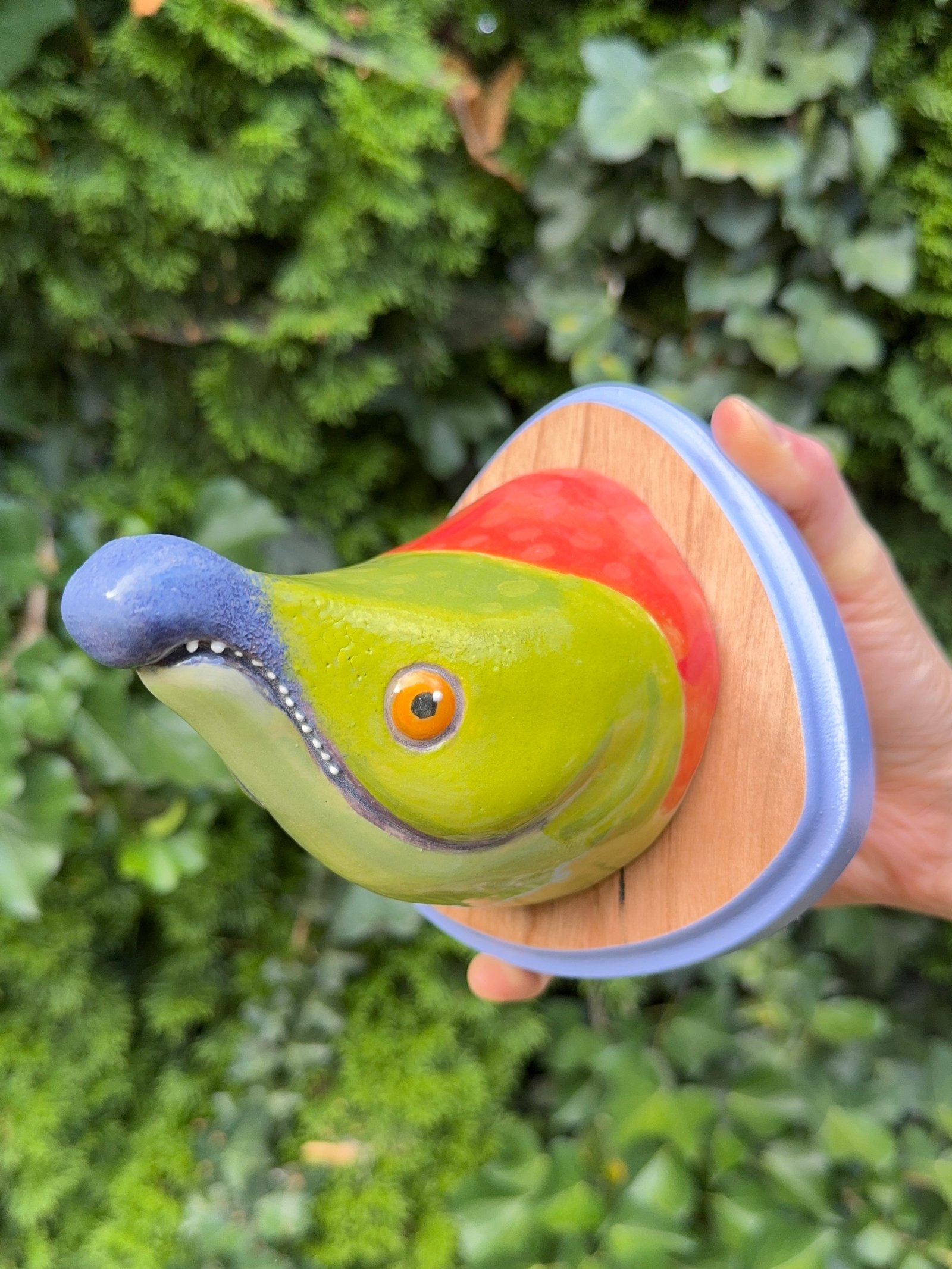 “Salmon, RUN!!” Mounted Head Ted