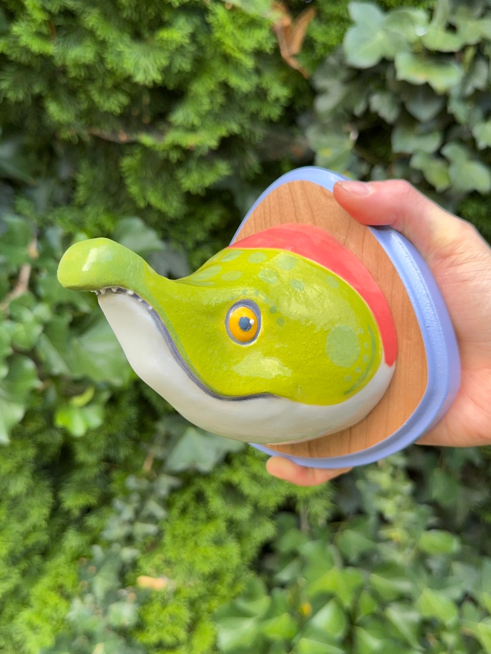 “Salmon, RUN!!” Mounted Head Fred